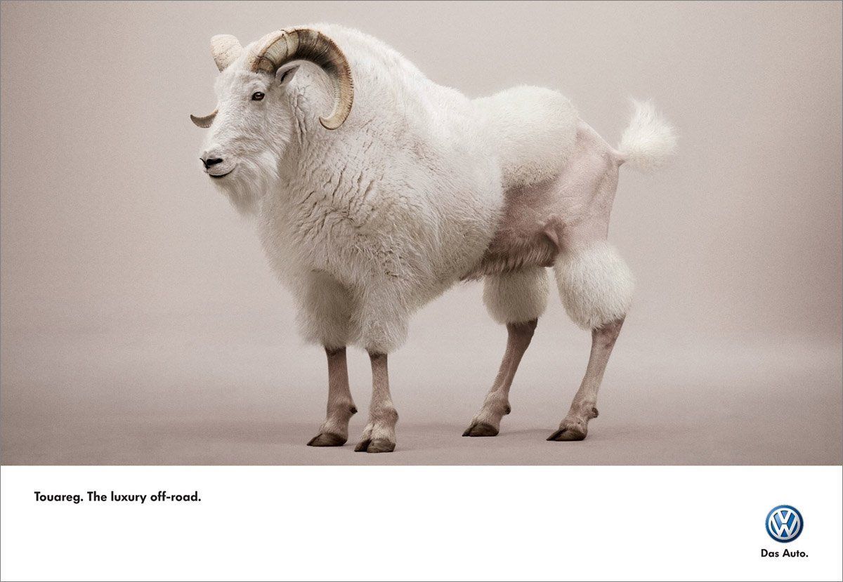 Star reccomend Shaved goat