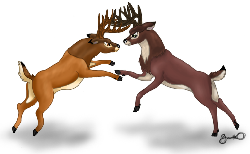 Bambi deer sex