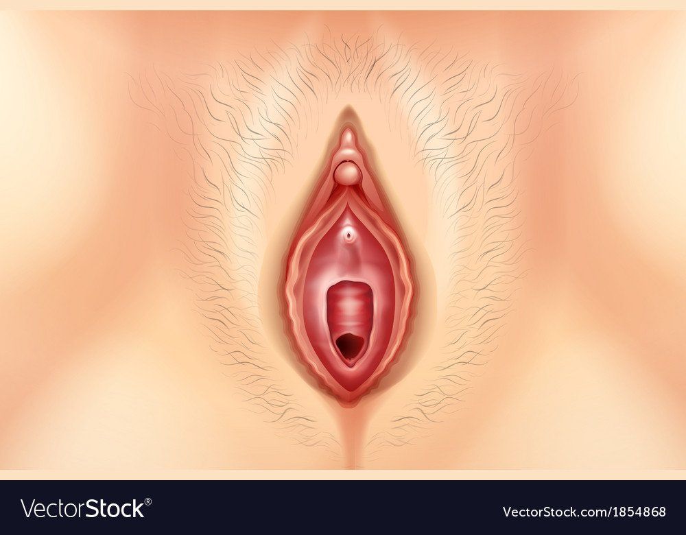 best of Vagina Free women pics of