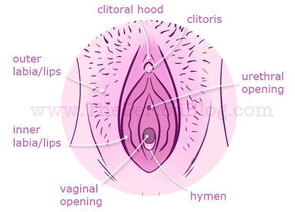 Jetta reccomend 3 holes in the vagina