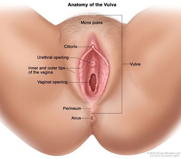 Banshee reccomend 3 holes in the vagina