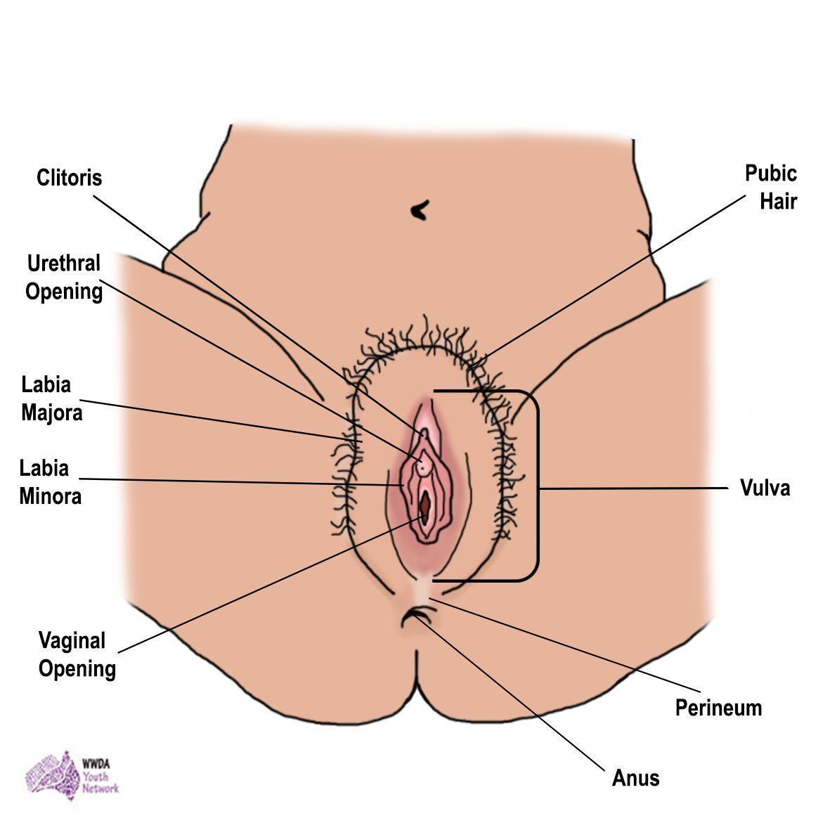 best of The vagina 3 holes in