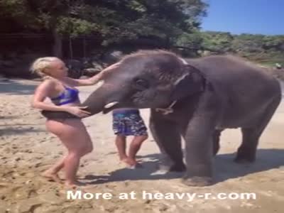 Taffy reccomend Girl getting fucked by an elephant
