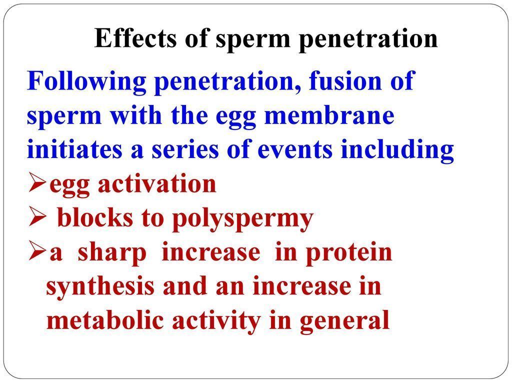 Increase sperm penetration