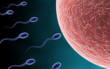 World wide demand for sperm