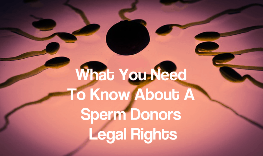 Roma reccomend Sperm donor legal