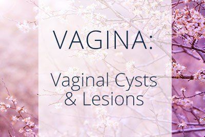 Benign diseases of the vulva and vagina