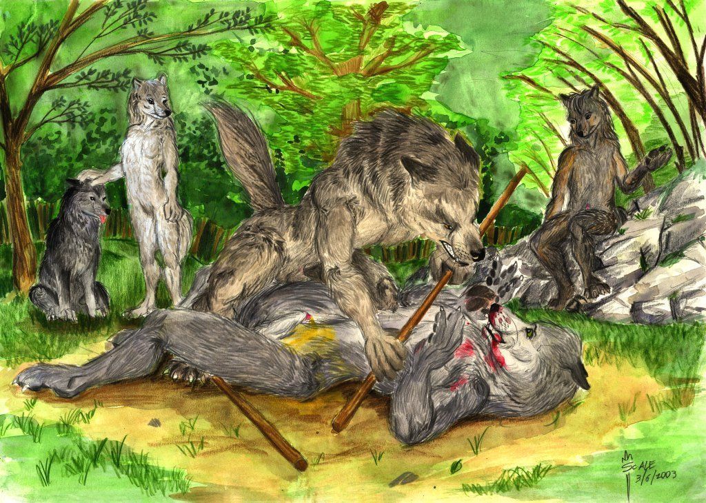 Wolf and deer having sex