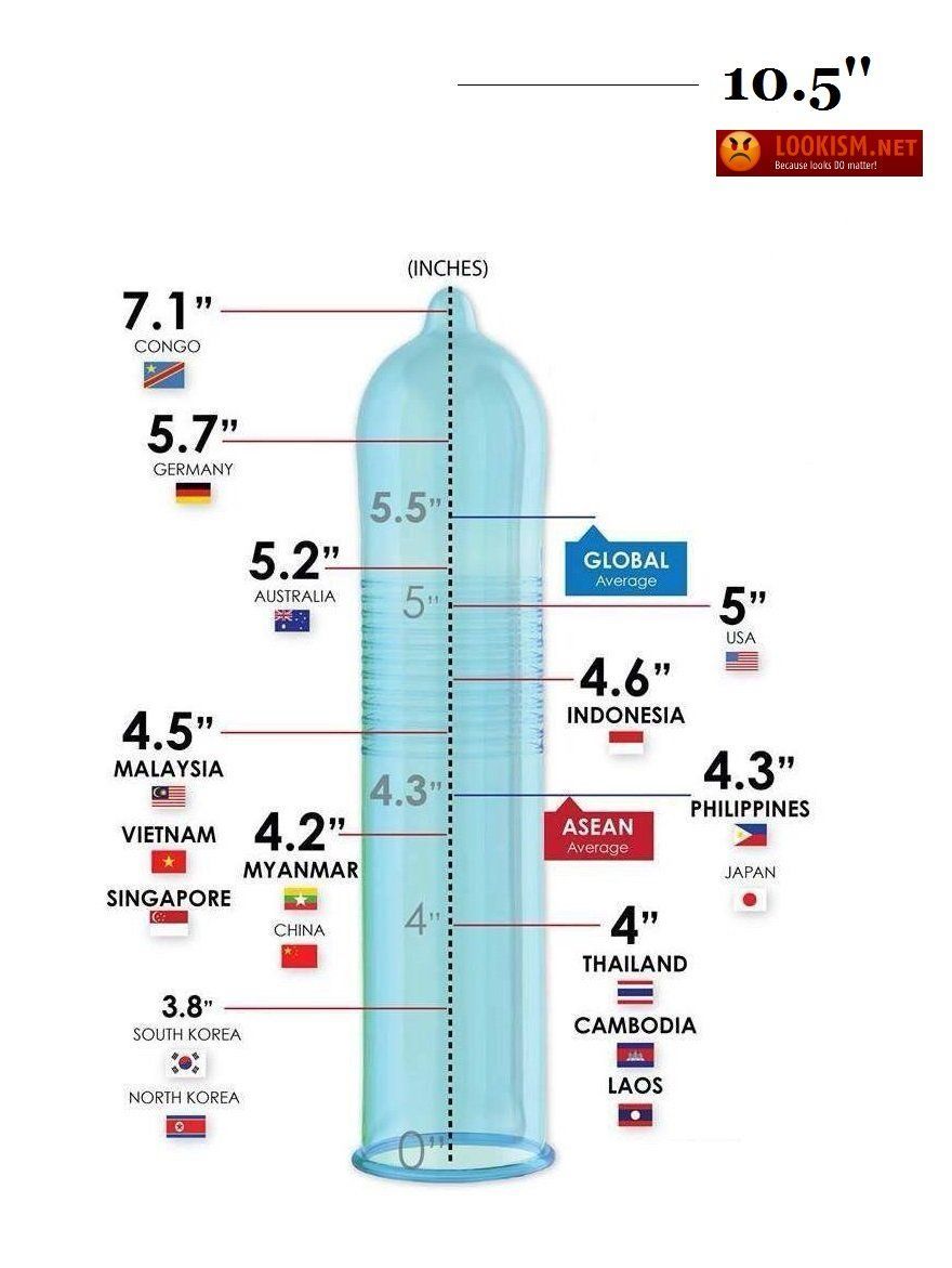 Average Penis Size Porn - Telegraph.