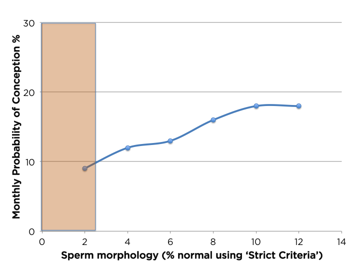 Count lower post sperm vasectomy