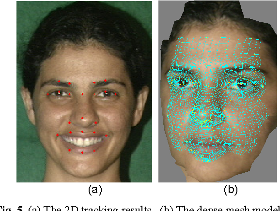 Geometry driven photorealistic facial