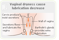 Dry vagina lubrication