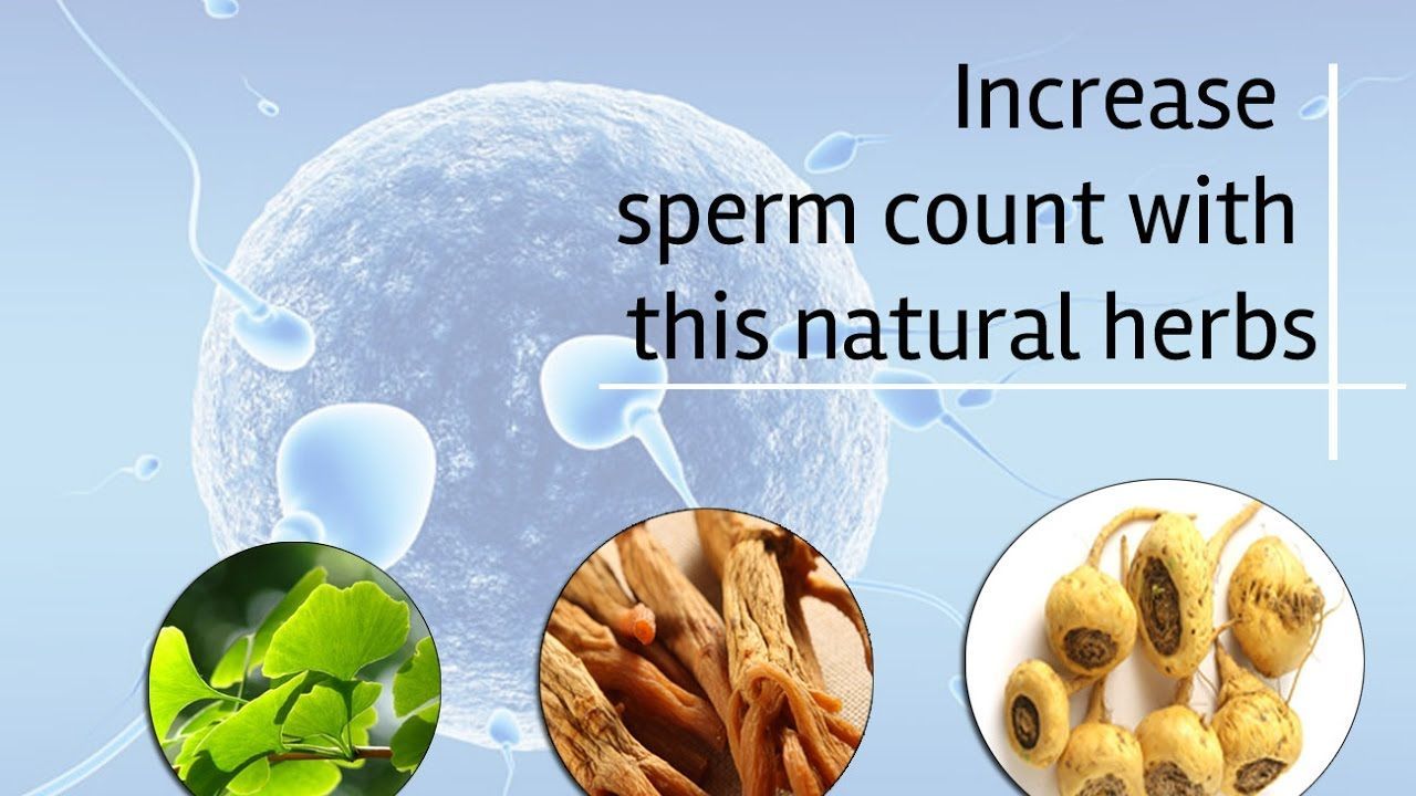 best of Amounts Naturally increase sperm
