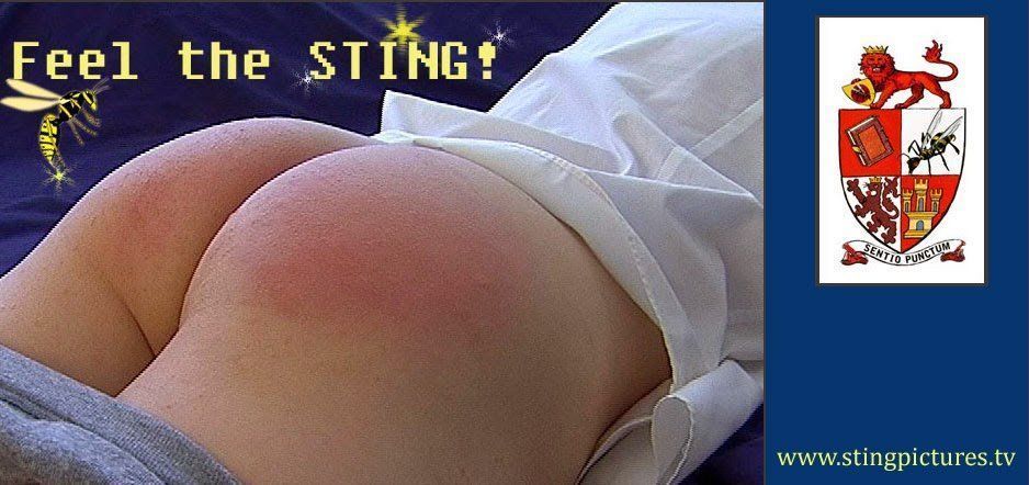Sting Pictures Spank