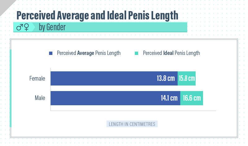 Pornstar penis size tables