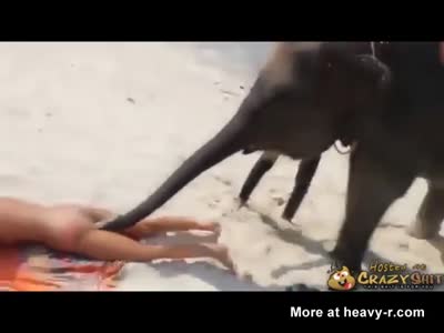 Girl getting fucked by an elephant