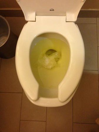 Soda P. reccomend In peeing toilet