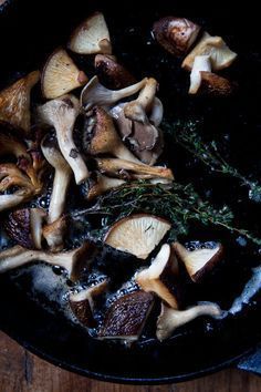 Black mushroom twink
