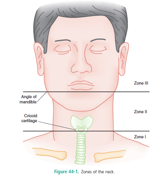 Prairie reccomend Pictures of facial neck injuries