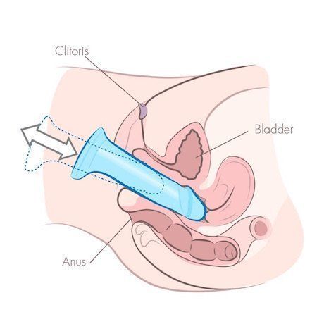 best of Up penis Women in shoving dildo