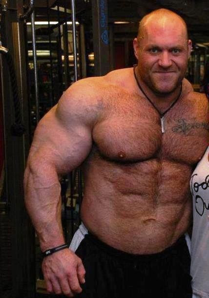 Smartie reccomend Bear bear big gay man man man man masculine powerlifters