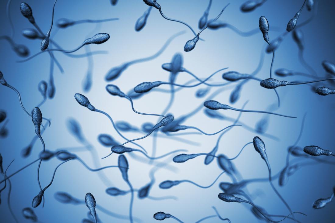 WMD reccomend Body make new sperm