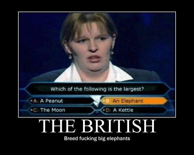 British bitch