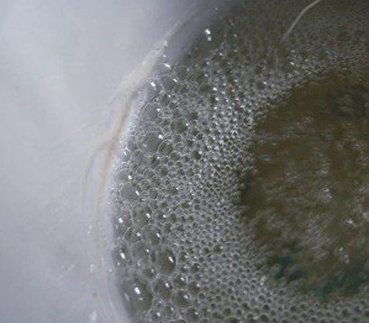 Bubbles in sperm