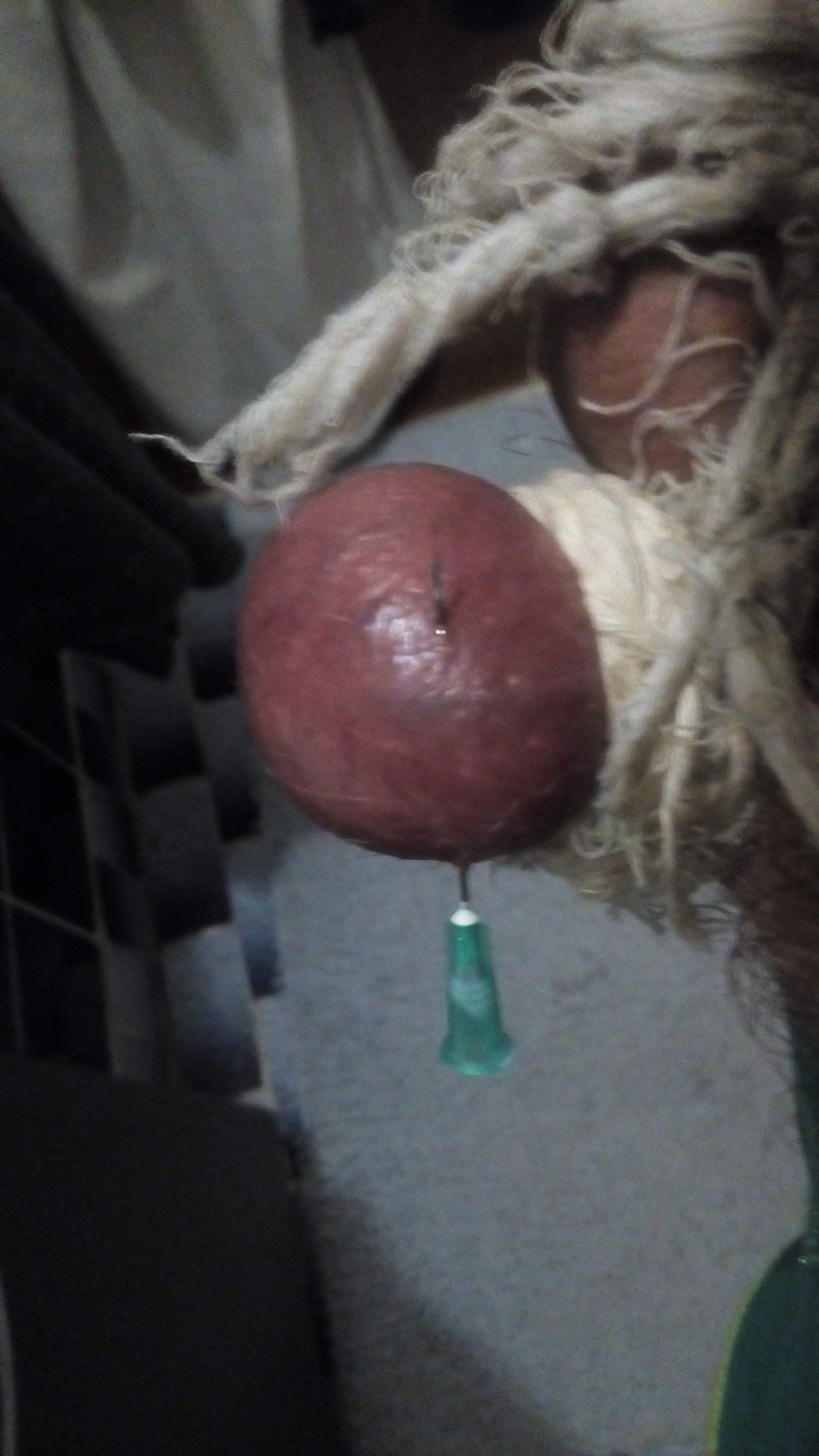 best of Torture torrents and ball Cock