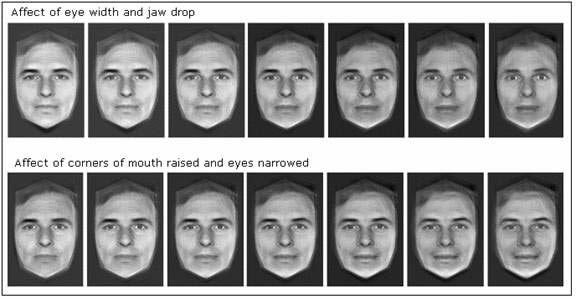 Facial expressions research