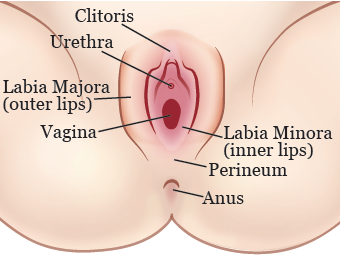 Black M. reccomend He spread my vulva wide open