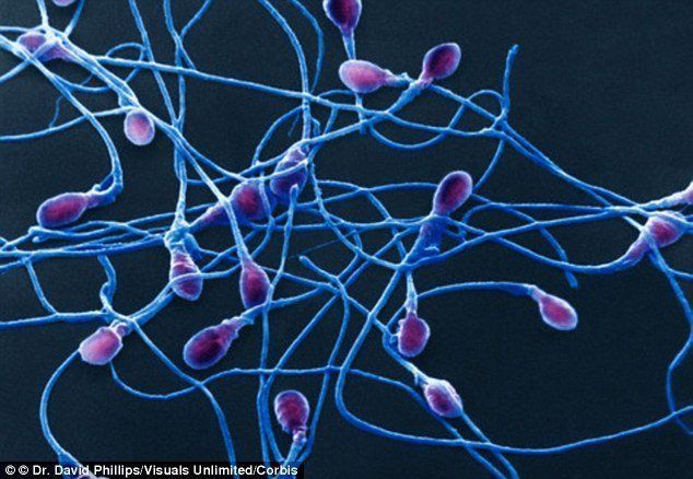 best of Last How long cold sperm