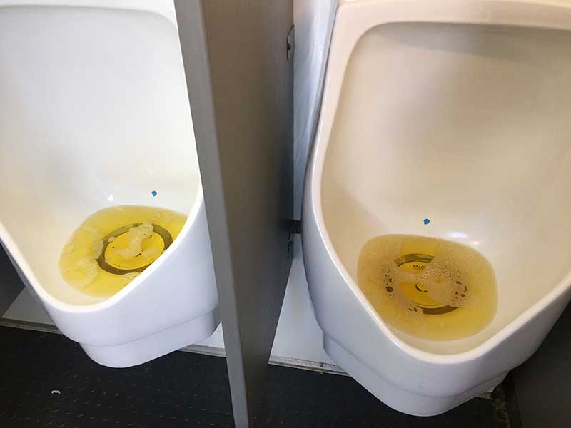 best of Toilet In peeing