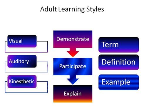 Kinesthetic adult learning style