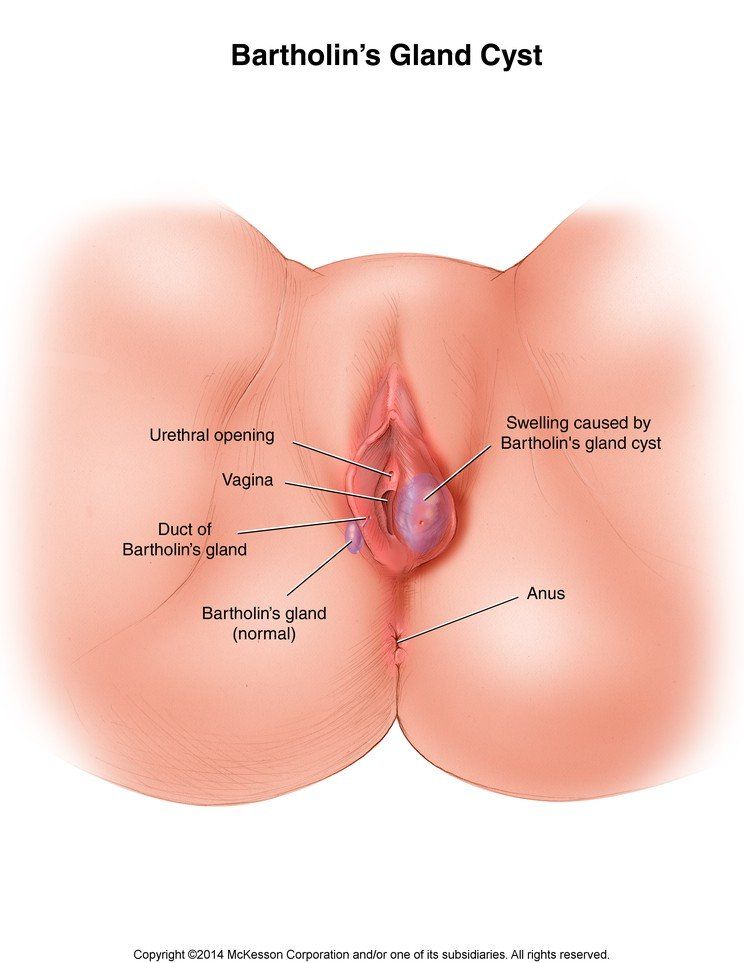 best of Hole Swollen vagina
