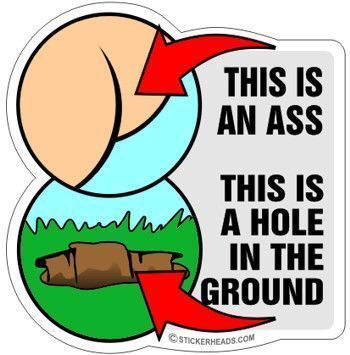 The ass and the hole