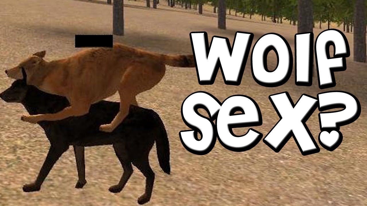 Buzz reccomend Wolf and deer having sex