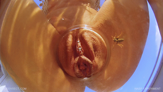 Insects in vijina sex