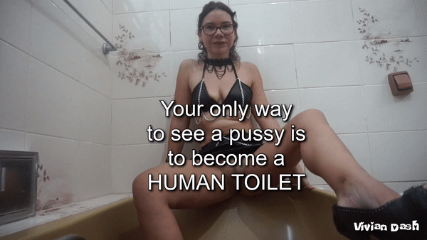 Roxy beg human toilet