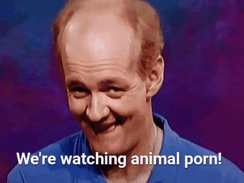 Watching porn reaction